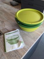 Tupperware MicroGourmet Dampfgarer Microwelle Brandenburg - Beiersdorf-Freudenberg Vorschau