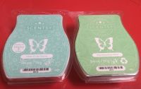 Scentsy Bars  Mint to be Merry /Marshmallow Mint Niedersachsen - Meppen Vorschau