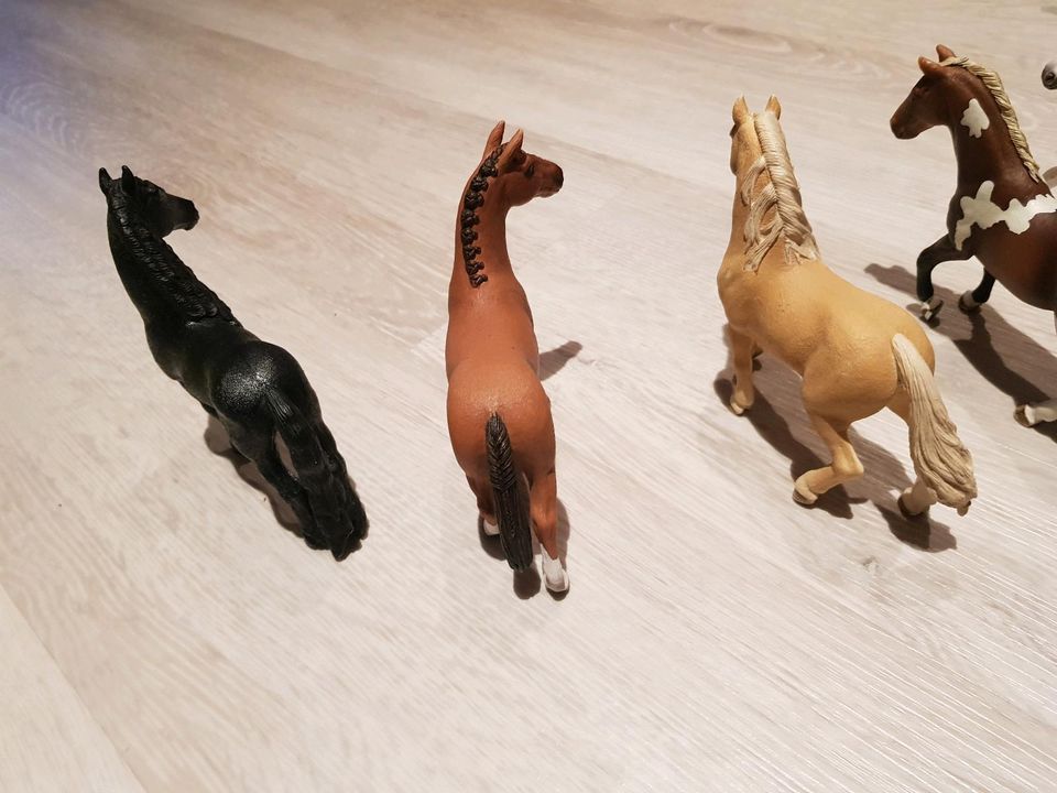 Schleich Hengst in Vögelsen