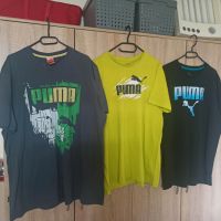 Herren Bekleidungspaket L-XXL (Shirts, Sweatshirts, Shorts) Nordrhein-Westfalen - Hagen Vorschau