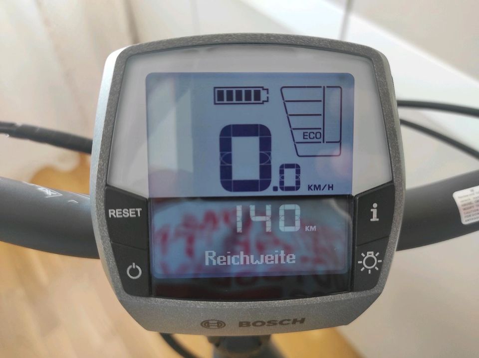 E-Bike Steiger Winora sinus in Frankfurt am Main