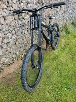 Downhill Park Bike UMF Freddy 1 single speed Bayern - Marzling Vorschau