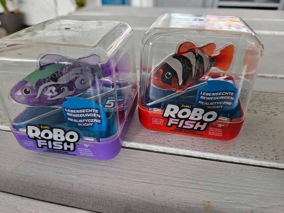 Robo Fish - Rot und Lila in Iserlohn