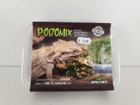 Terrrarium - Pogomix - Frisches Grünfutter für Bartagamen *NEU* Nordrhein-Westfalen - Bornheim Vorschau