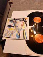 Lambada Schallplatten Vinyl DLP Baden-Württemberg - Möglingen  Vorschau