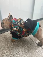 Kapuzen Hoodie für Französische Bulldoggen Dortmund - Benninghofen Vorschau