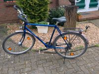 Enik Herren Fahrrad Schleswig-Holstein - Ellingstedt Vorschau