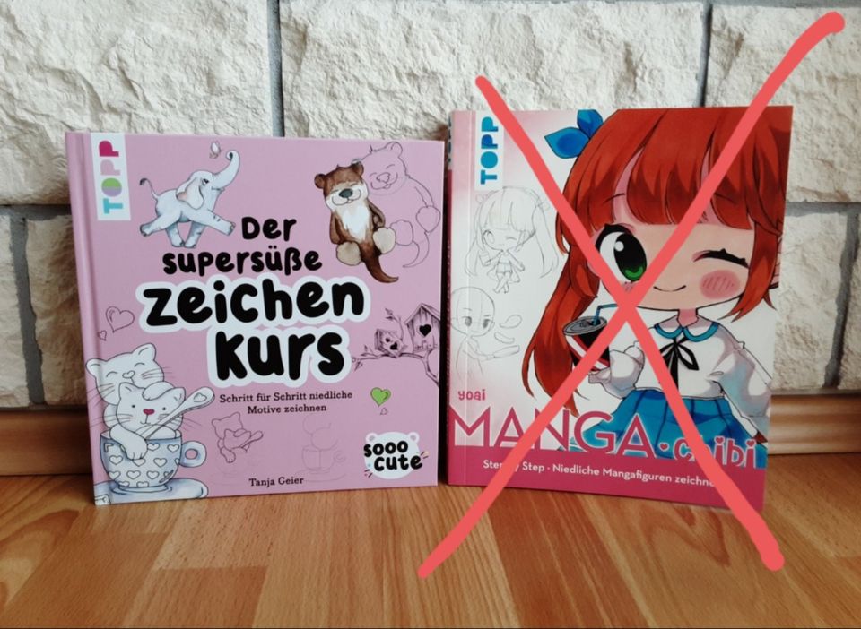 Buch Zeichenkurs , Kawaii, Manga , Chibi  ,zeichnen in Lahr (Schwarzwald)