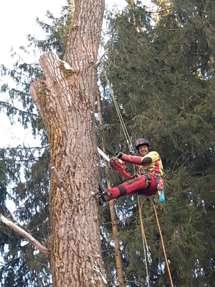 Sturmschäden beseitigen Baumpflege Gartenarbeiten Baumfällungen in Buchloe