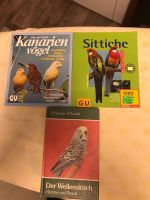 Vogelbüxher Vogel Wellensittich Vögel Kanarienvögel Thüringen - Heyerode Vorschau