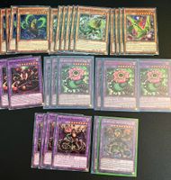 Yu-Gi-Oh! Raubpflanze & Rikka & Sonnenranken & Rosen Karten Nordrhein-Westfalen - Solingen Vorschau