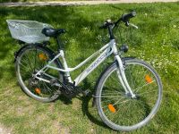 Damenfahrrad Fahrrad weiß mit Korb Aubing-Lochhausen-Langwied - Aubing Vorschau