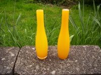 2 x Glasvase Vase schlanke Form * schlicht modern * Geschenk Bayern - Nordendorf Vorschau