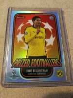 Topps / Panini Fussball Trading Cards / Karten  in 20 Fotos Niedersachsen - Rehburg-Loccum Vorschau