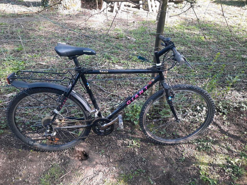 Giant Mountainbike Fahrrad 26 zoll 21 gänge in Offenbach