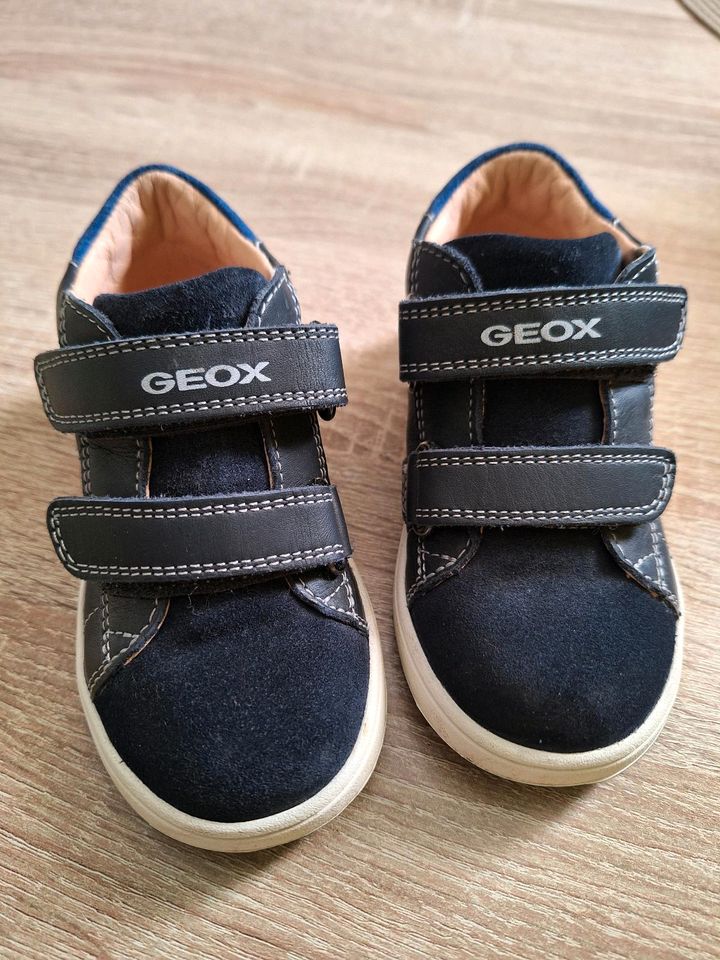 Geox Kinderschuhe in Kiel