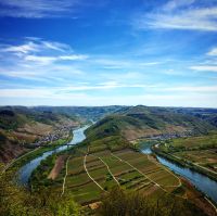 Gutschein B&B an der Mosel Rheinland-Pfalz - Ediger-Eller Vorschau