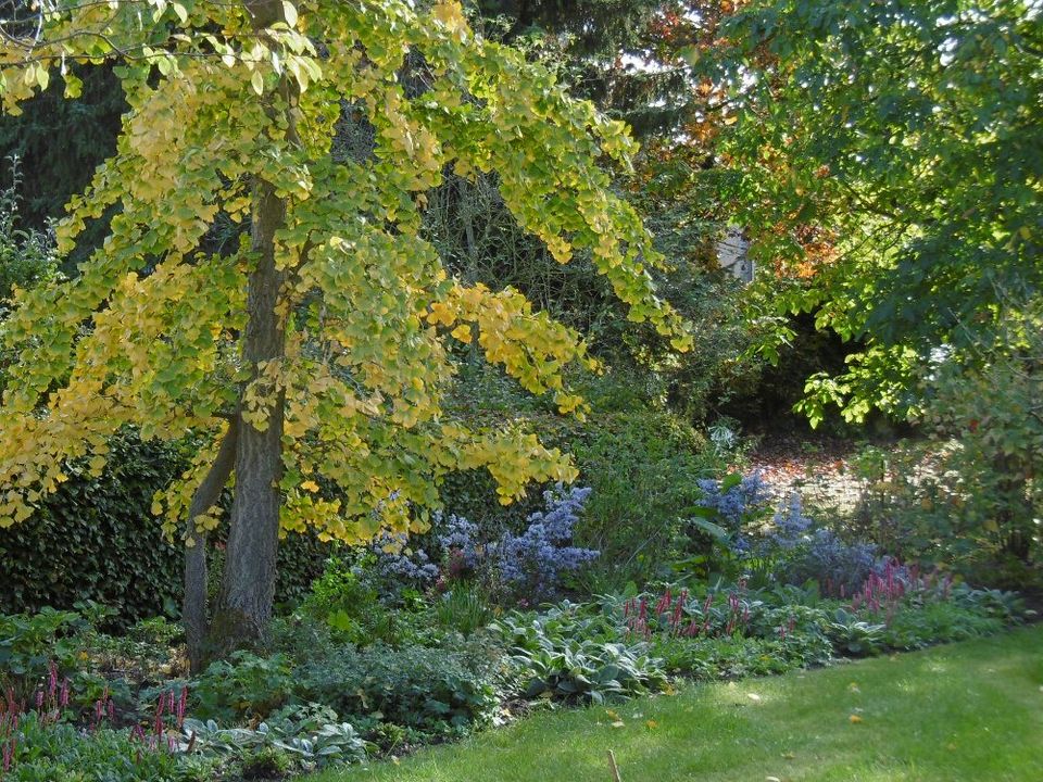 Gärtner,Gärtnerin,Mitarbeiterin,Job, Stellenanzeige,Garten in Kiel
