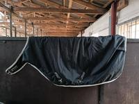 Horseware Amigo Walker Decke 140 200g Führanlagendecke Niedersachsen - Buxtehude Vorschau