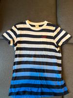 Hollister Shirt Nordrhein-Westfalen - Bad Honnef Vorschau