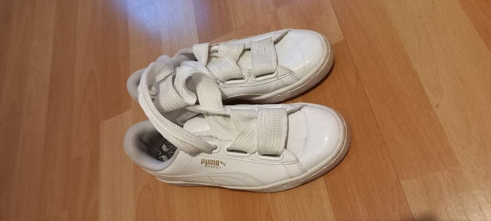 Puma Schuhe Weiß Größe 36 in Oberursel (Taunus)