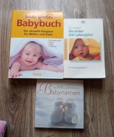 Mein großes Babybuch Ratgeber 3 Bücher Niedersachsen - Osterode am Harz Vorschau
