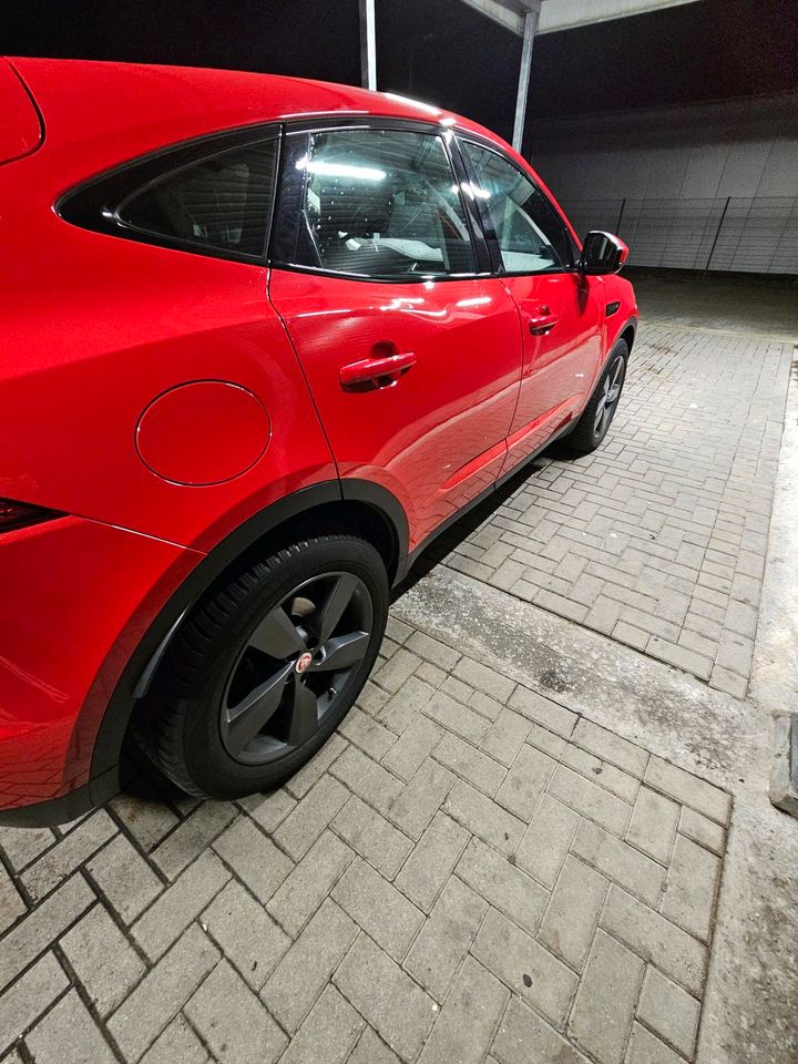 Jaguar E-Pace D 180 AWD in Nordhorn