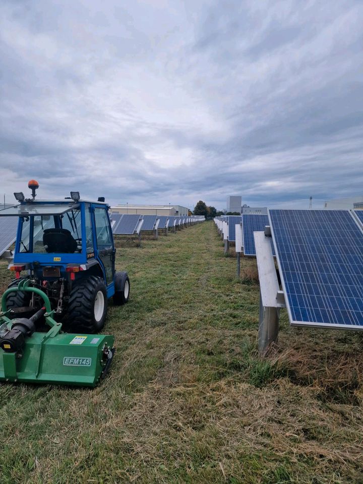 Grünflächenpflege,Solarparkpflege,Gartenarbeiten in Wanzleben