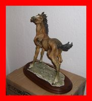 G. Armani Figur Fohlen Pferd Capodimonte Florence Mecklenburg-Strelitz - Landkreis - Neverin Vorschau