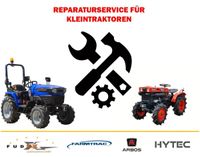 Reparatur Service Kleintraktor Traktor Farmtrac Kubota Iseki Arbo Niedersachsen - Winsen (Luhe) Vorschau