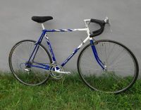 Koga Miyata Gran Winner Vintage Stahlrahmen Retro Rennrad RH 56 Berlin - Mitte Vorschau