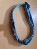 Trixie Classic Hunde-Halsband blau 22-33cm 10mm Nylon verstellbar Nordrhein-Westfalen - Gronau (Westfalen) Vorschau