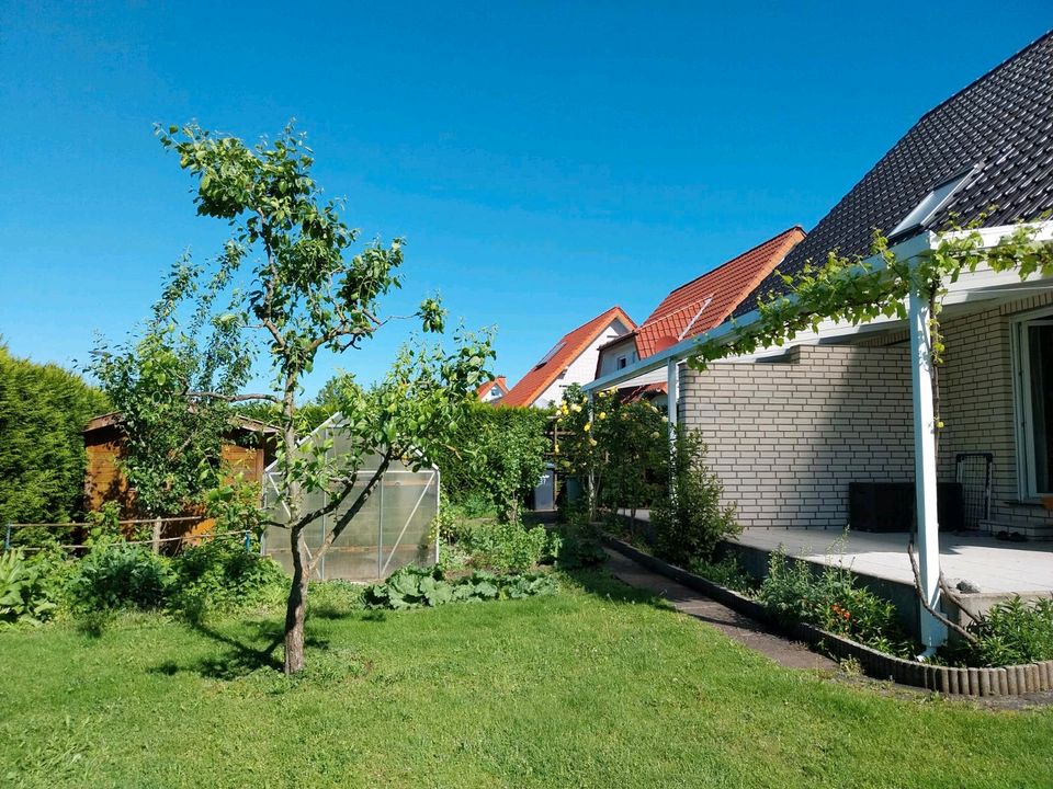Einfamilienhaus mit Einliegerwohnung in Halle Künsebeck. in Halle (Westfalen)