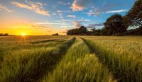 Suche Pachtfläche  (Ackerland) Bayern - Lichtenfels Vorschau