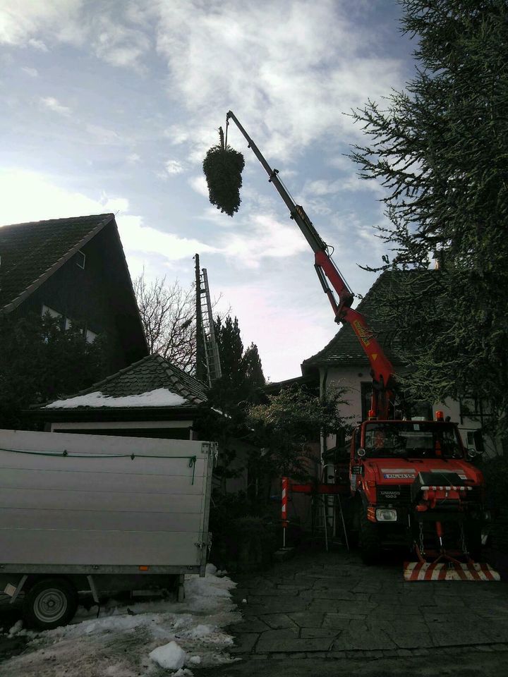 Unimog mit Kran 4t. für Umzug, Baumfällung in Konstanz