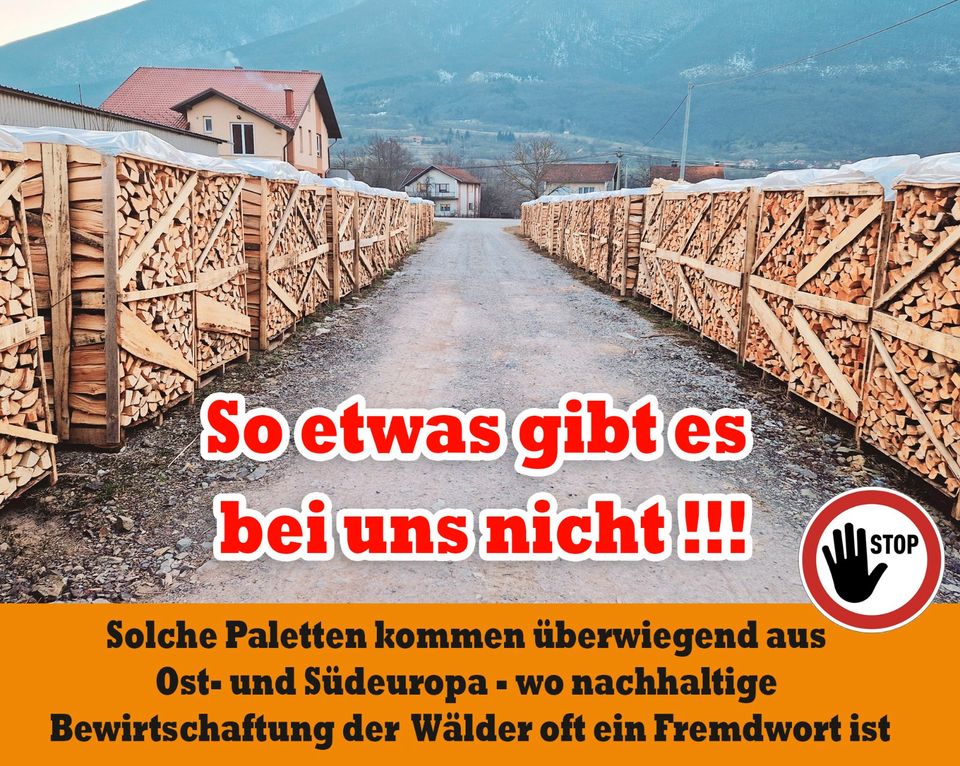 ab 4 m³ bis 35 m³ -  bis 40 Km um Halle Merseburg Petersberg Wettin Kaminholz, Brennholz, Feuerholz, Holzvergaser, Kamin, Holz, Feuer, Brenn in Halle