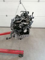 Motor Komplett AUDI A4 A5 A6 Q5 CGL 2.0 TDI 61.000km 1 Jahr Brandenburg - Küstriner Vorland Vorschau