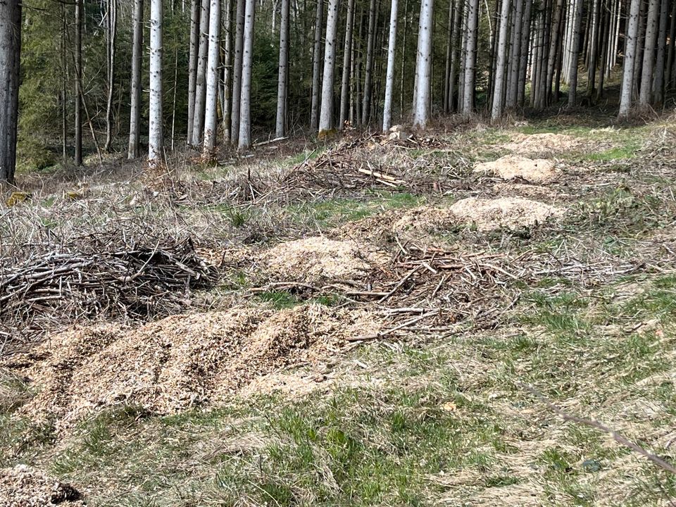 Baumstumpffreie Wege, schönes fahren mit dem Traktor oder Quad ✅ in Freyung