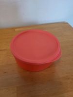 Tupperware Neu  Schüssel mit Deckel Bayern - Burk Vorschau