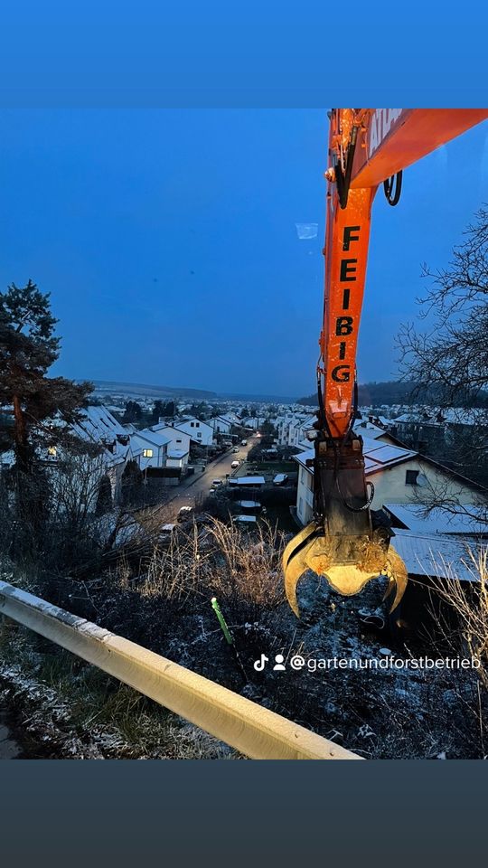 Baumfällungen/Baumpflege/Rodungen/Fällgreifer/Baum/Fichte/Tanne in Regenstauf