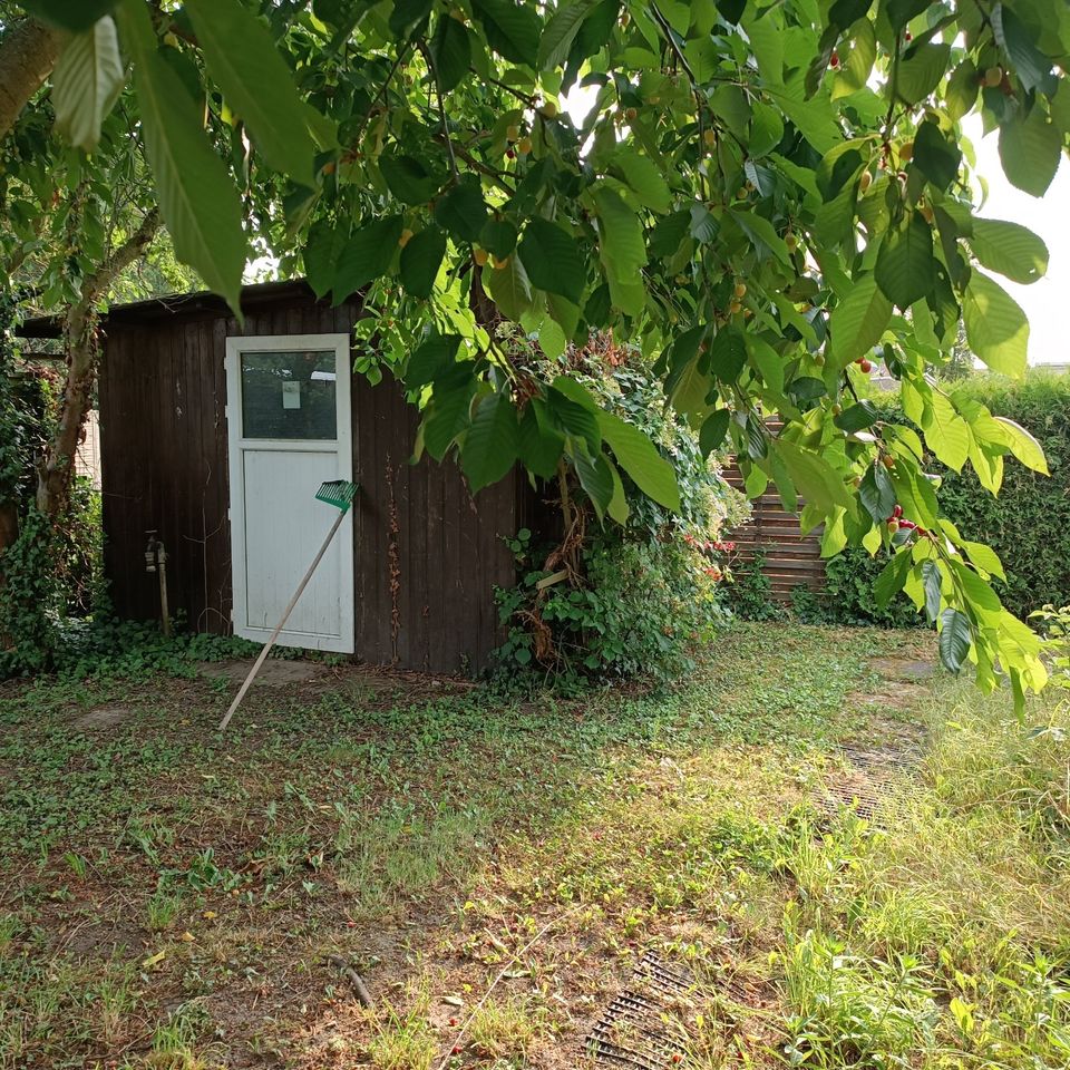 ✔️Top Erholungsgrundstück Gartengrundstück Privatgrundstück zu Verpachten oder zu Verkaufen+++****✔️ in Friedensstr., 15328 Küstriner Vorland(58km von Berliner Stadtgrenze) in Küstriner Vorland