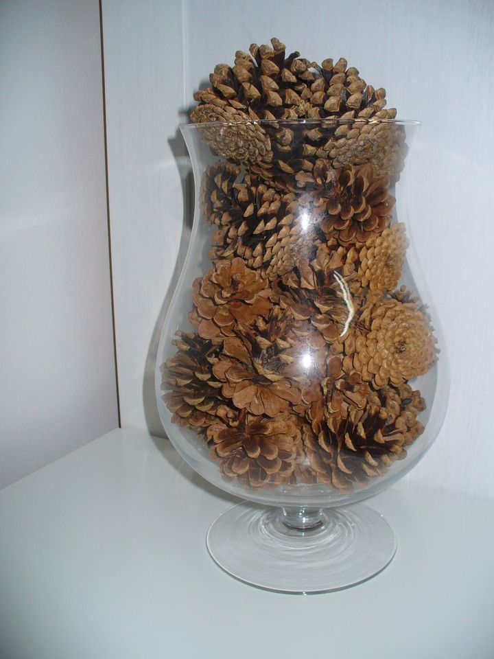 2x große Glas-Vasen in Cognacschwenker-Form mit Schwarzkiefer-Zap in Bernau