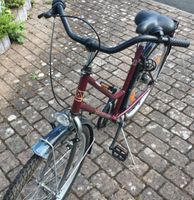 Damenfahrrad Fahrrad mit Rücktrittbremse Bayern - Maßbach Vorschau