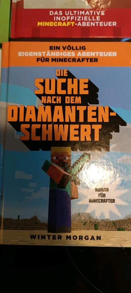 Minecraft Bücher in Braunschweig