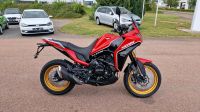 Moto Morini X-Cape 650 Golden Wheels Edition *NEU* Reiseenduro Sachsen-Anhalt - Hettstedt Vorschau