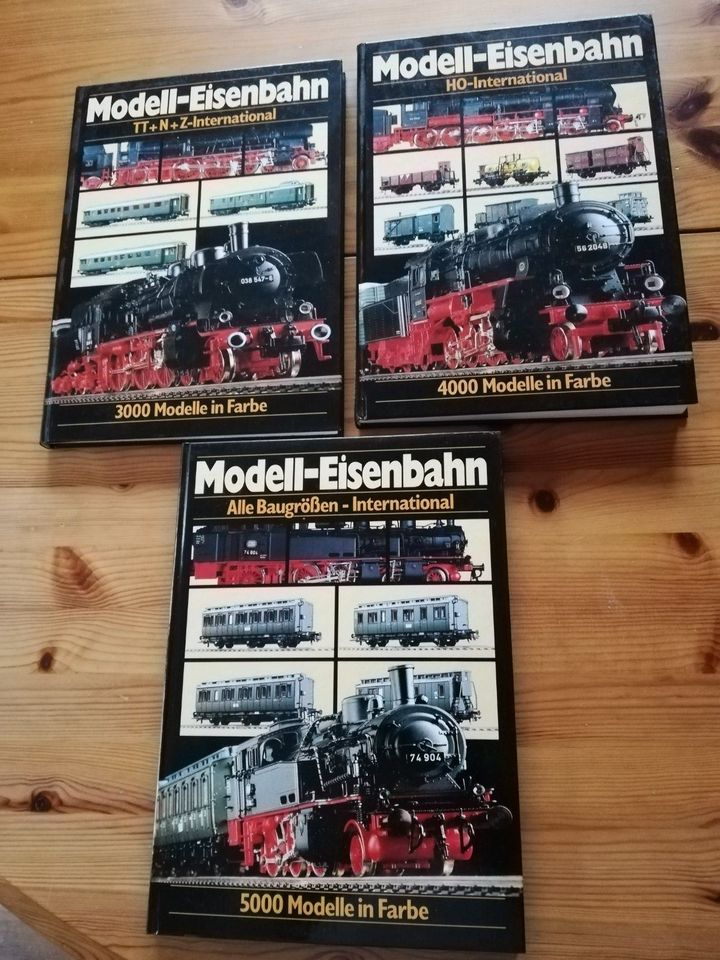 Eisenbahnbücher Modelleisenbahnbücher ,Märklin HO,Schuco in Beverungen