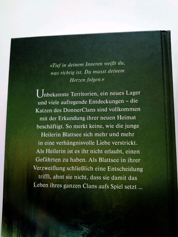 Warrior Cats Bücher in Dörverden