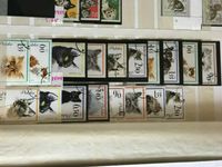 Briefmarken Polen Katzen Thüringen - Wutha-Farnroda Vorschau