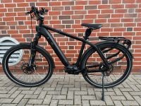 Tenways AGO X E-Bike Custom/07/23/Umbau ca 600€/nur 500km Herzogtum Lauenburg - Mölln Vorschau