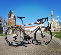 Specialized S-WORKS AETHOS "Champagne" Roval ALPINIST Gr.56/6,0kg Hessen - Darmstadt Vorschau